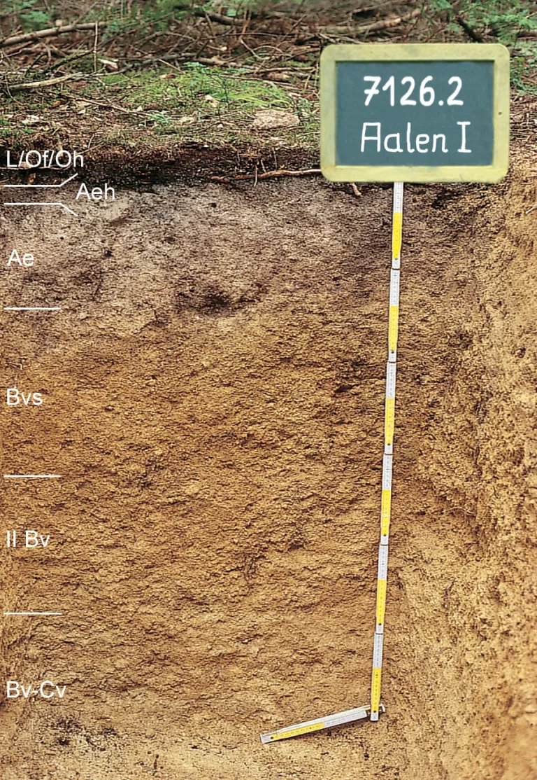 Blick auf ein Musterprofil des LGRB unter Wald. Die sichtbare Profilwand ist graubraun bis hellbraun, in sechs Bodenhorizonte eingeteilt und 130 Zentimeter tief. Rechts oben nennt eine Tafel Nummer und Name des Profils.