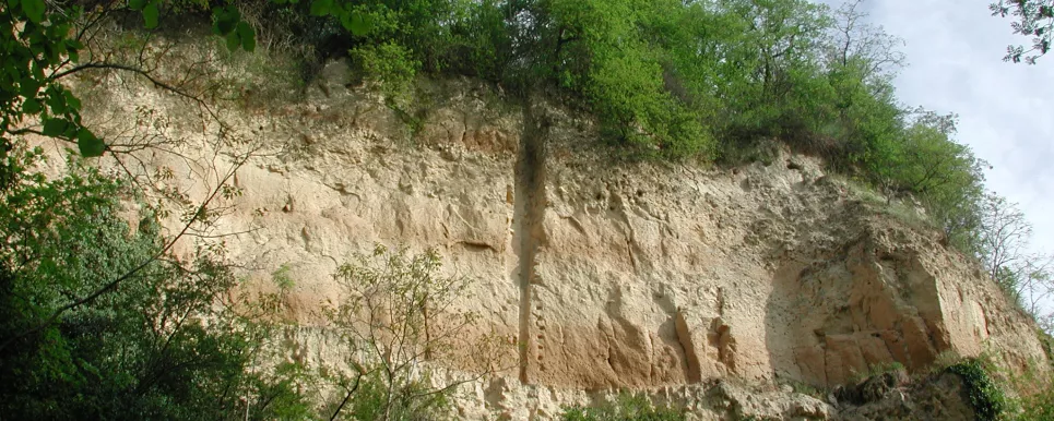 Blick auf eine hellbraune Lösswand mit starkem Bewuchs an Fuß und Kuppe. In der Bildmitte ist eine vertikale Furche erkennbar, rechts bildet die Wand eine Art Erker. Auf der Oberfläche sind zudem drei dunklere Bänder erkennbar.